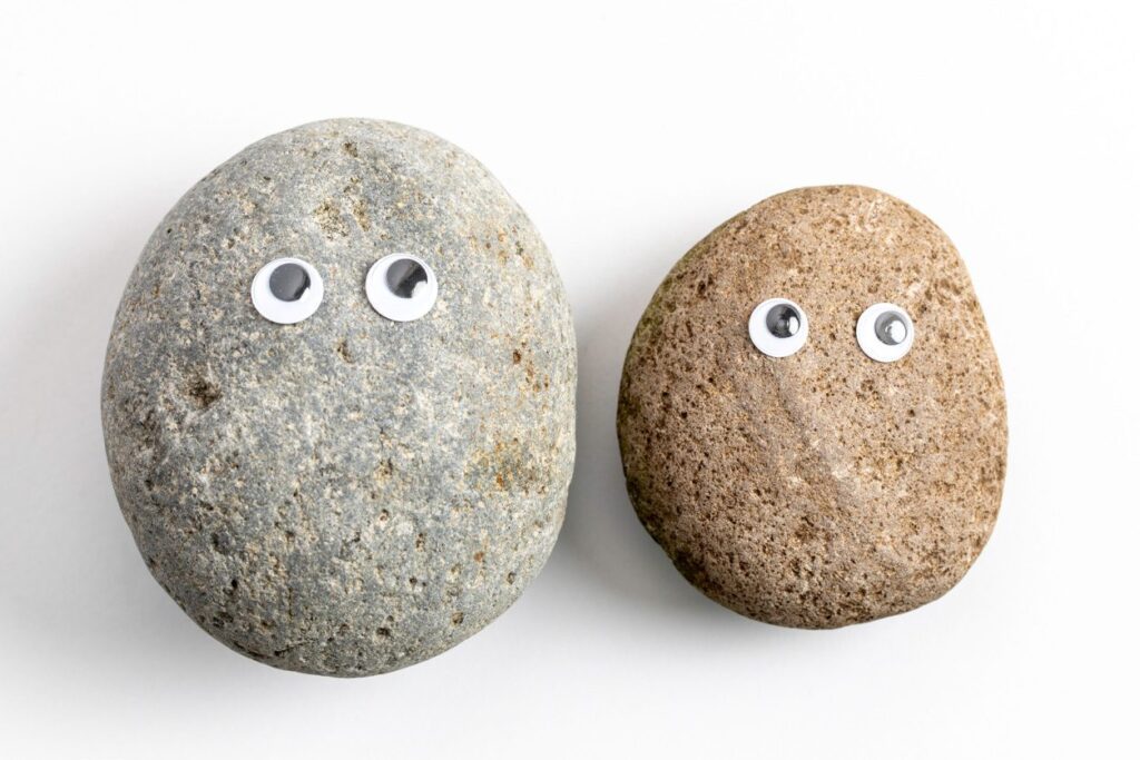Two round rocks with googly eyes attached, placed side by side on a white background, resembling playful cartoon faces.